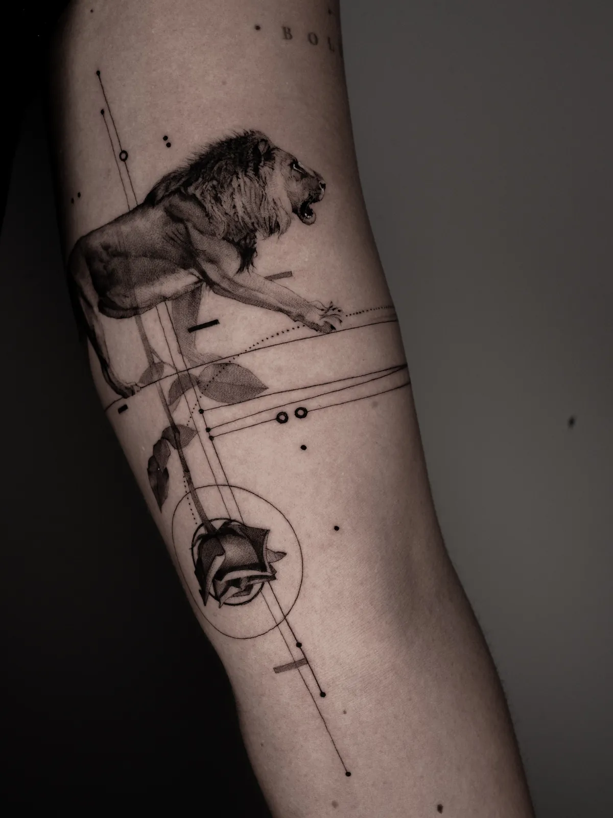 Lion in Stride — tattoo by Ted Faulmann